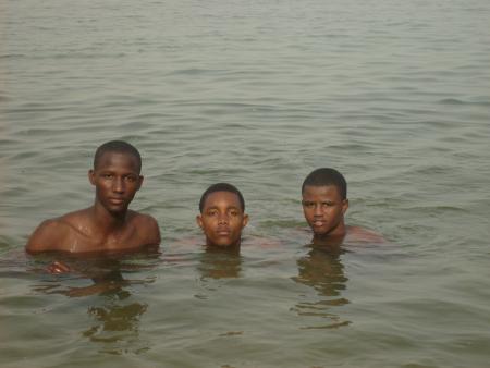 les amis